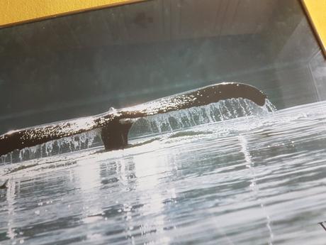 Veľký obraz veľryba chvost, 