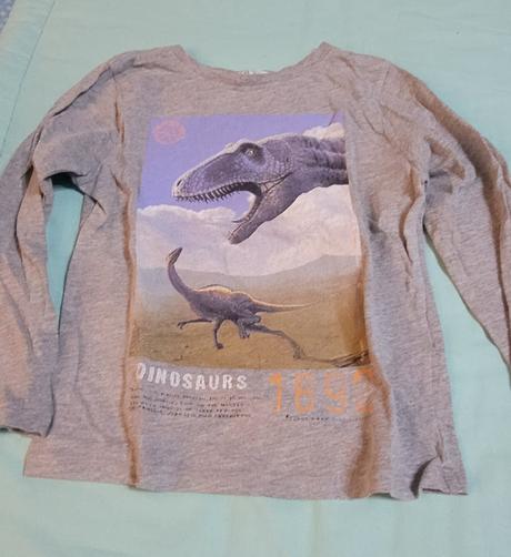 Trickoz sede-dinosaurus, h&m,110