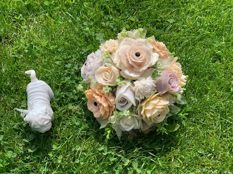 Mydlova kytica na brezovom dreve, 