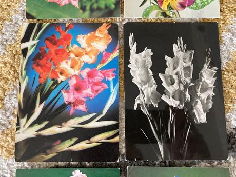 Retro kvety 80-90te roky,