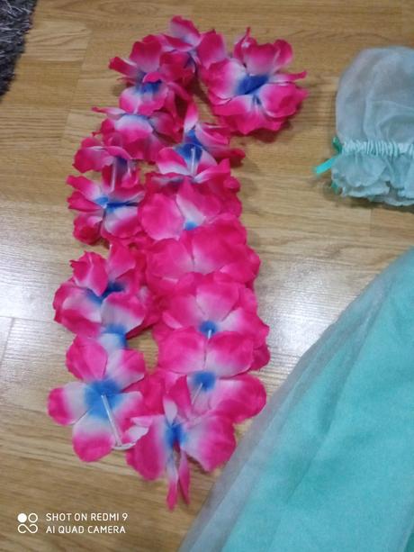 Karnevalové šatičky., 