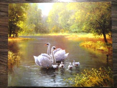 Obrazy fototlače - príroda a krajinky,