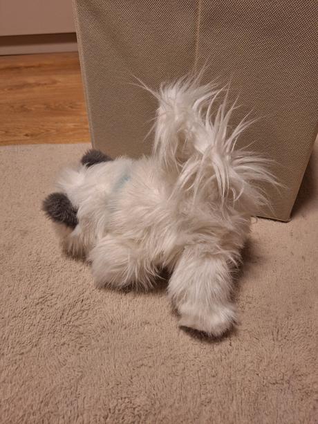 Pradúca,mňaukajúca,papajúca mačka, 