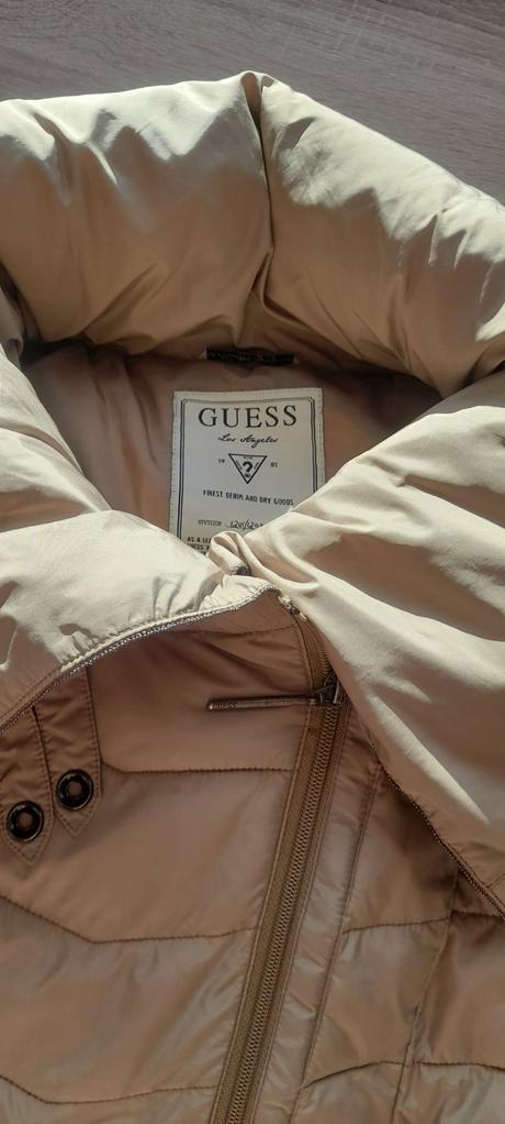 Vesta guess, guess,s