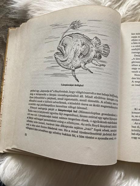 Az állatok násza svadobné tance zvierat (1980),