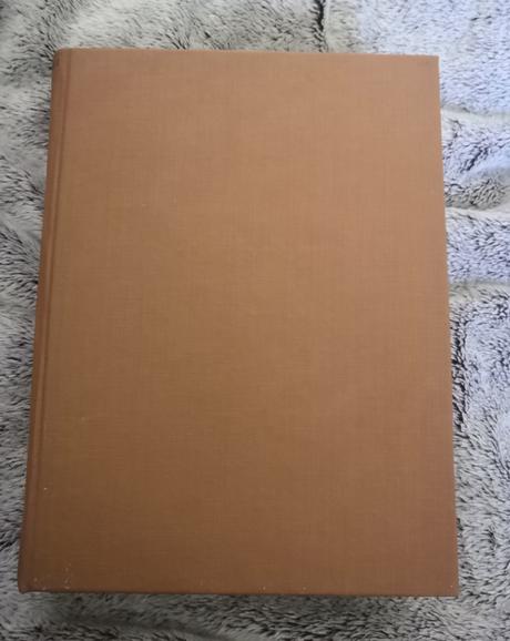 Kniha - anya setonová - diablova voda,