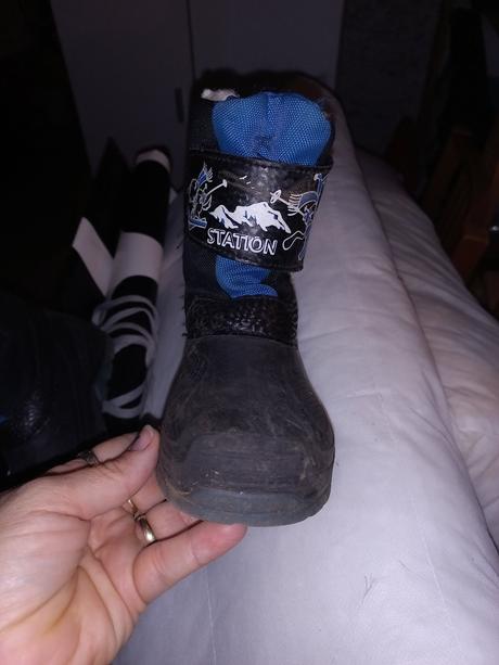 Snehule svietiace, 29