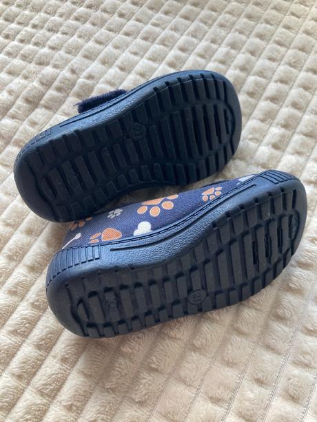 Papučky psíkové, 21