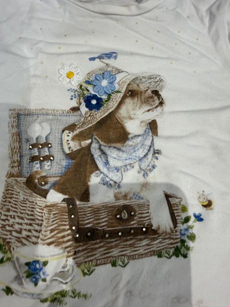 Mayoral suprava, mayoral,104