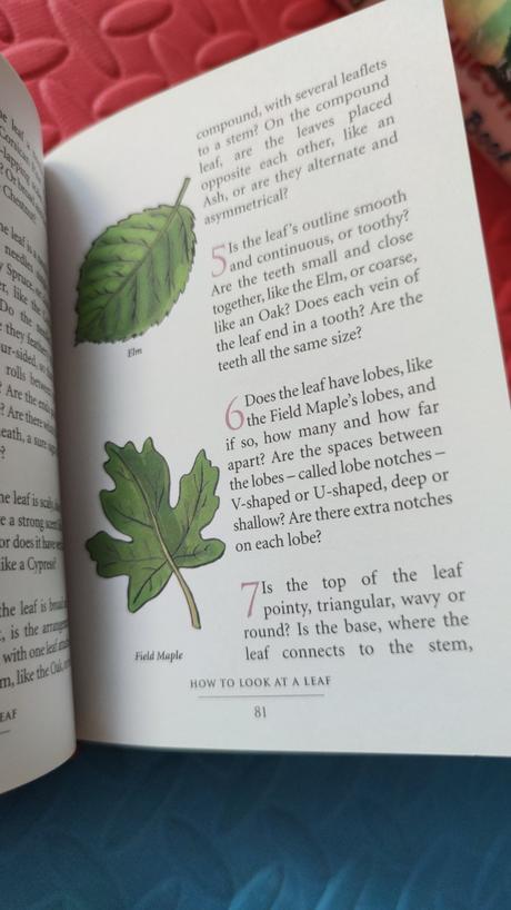 The pocket daring book for girls top stav,