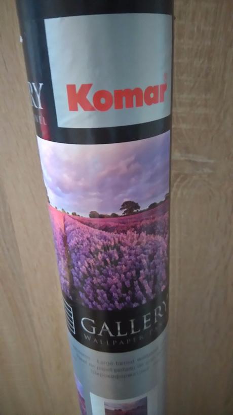 Nová fototapeta - levandulové pole, 