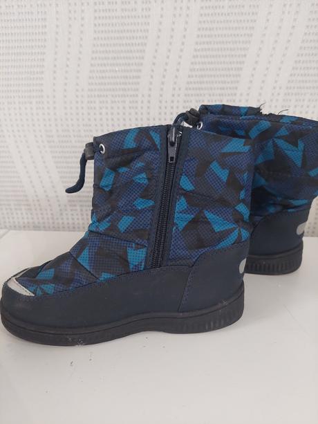 Snehule, topolino,29