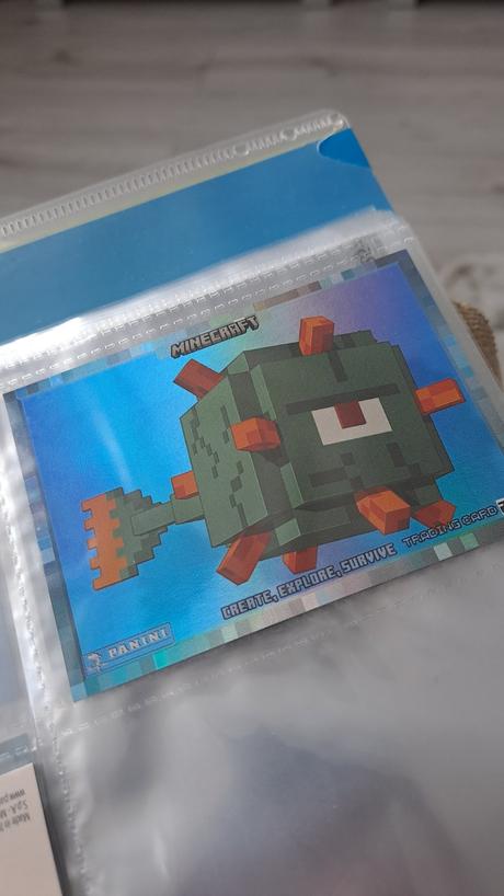 Minecraft, 
