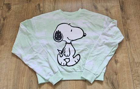 Mikina, peanuts,170
