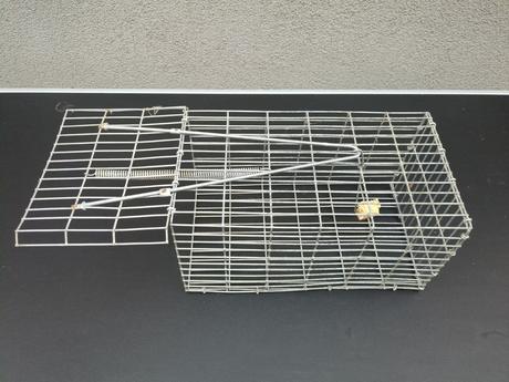 Pasca na potkany celokovová,