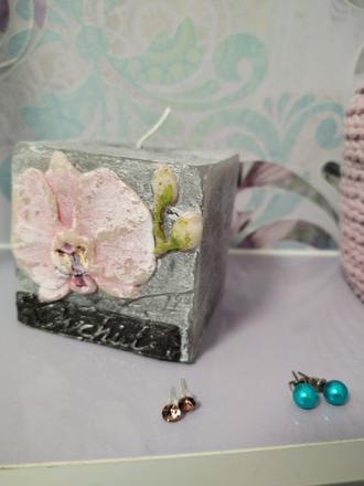 Nausnice tyrkysove perlicky, 