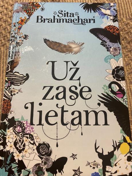 Už zase lietam sita brahmachari, 