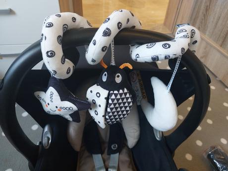 Vajicko maxi cosi, maxi cosi