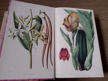 Elizabeth gilbert - podstata všetkých vecí, 