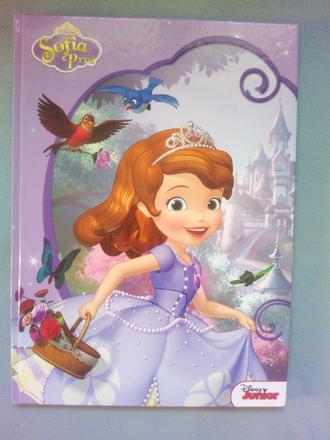 Walt disney junior - sofia prvá, 