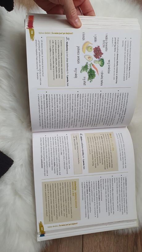 Knihy návod na prežitie bejby a hneď to bude anjel,