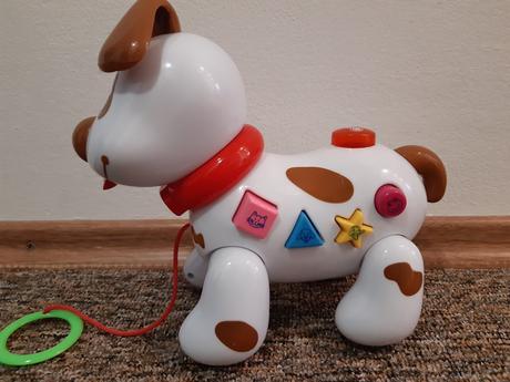 Hrací psík, 
