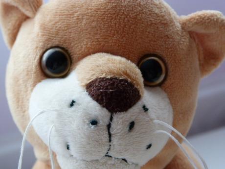 Vak plyšová levica nala z leví kráľ- 30cm, 