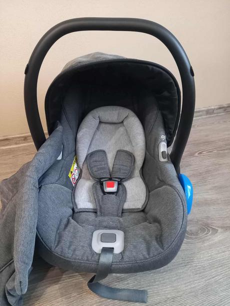 Kočík, roan,roan esso