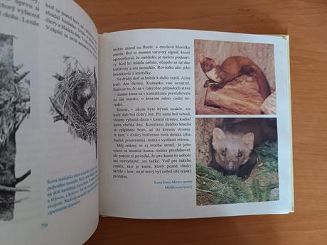 Marta šurinová - kde bývajú zvieratá (1988), 