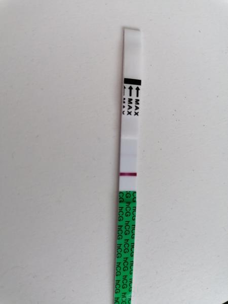 6 dní do MS, je na teste duch ?