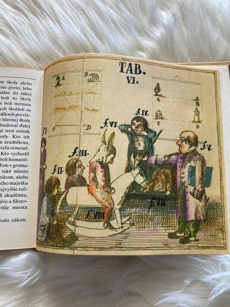 Aká bola dávna škola bibiana wallnerová (1979), 