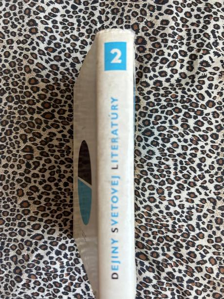 Dejiny svetovej literatúry 2 - kolektiv autorů, 