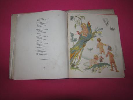 Mária rázusová-martáková od jari do zimy /1949/, 