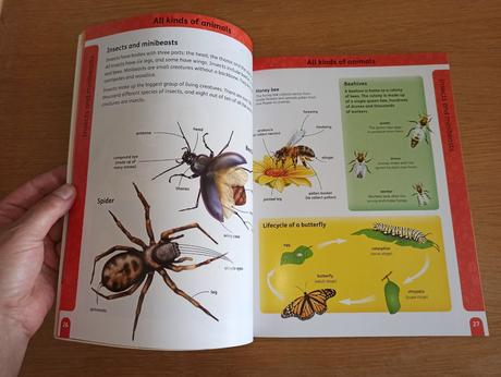 Oxford visual dictionary of animals, 