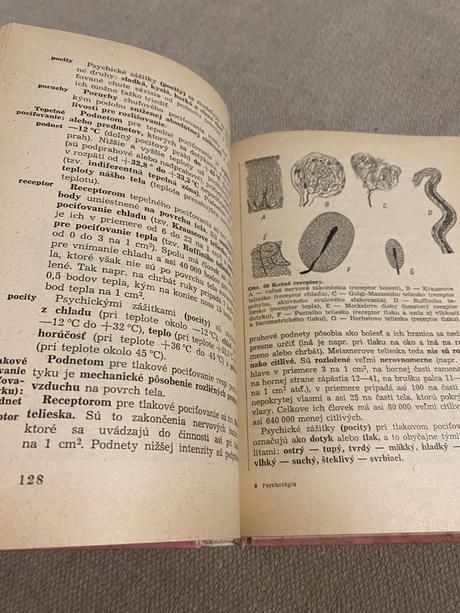 Psychológia pre gymnáziá a pedagogické školy,