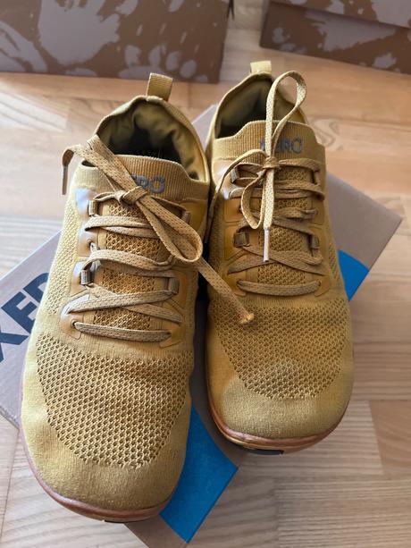 Xeroshoes nexus knit gold, 40