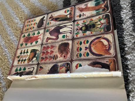 Alica v krajine zázrakov (1984), 