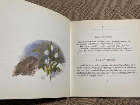 Retro kniha biely zvonček ladislav kuchta 1980, 