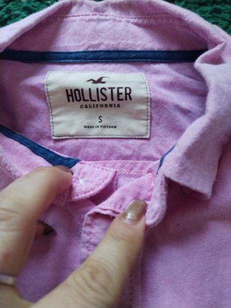 Kosela, hollister,s