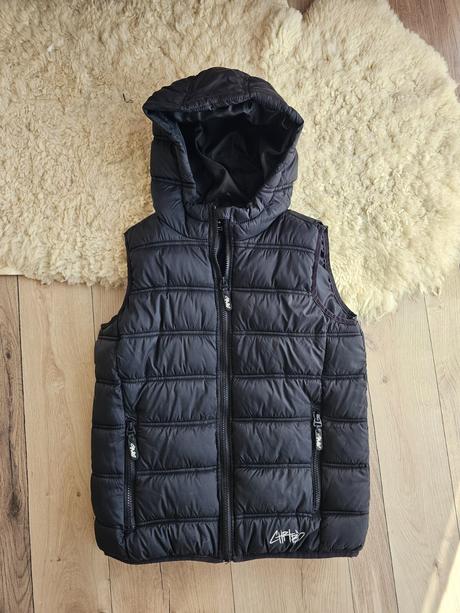 Vesta, chapter young,146