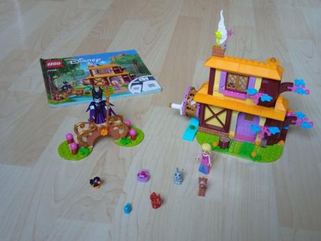 43188 šípková ruženka a lesná chalúpka,