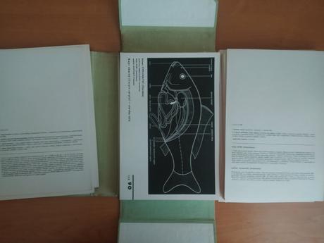 Biologický náčrtník, 