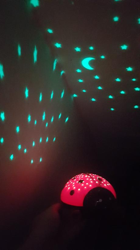 Nocne svetlo lienka, 