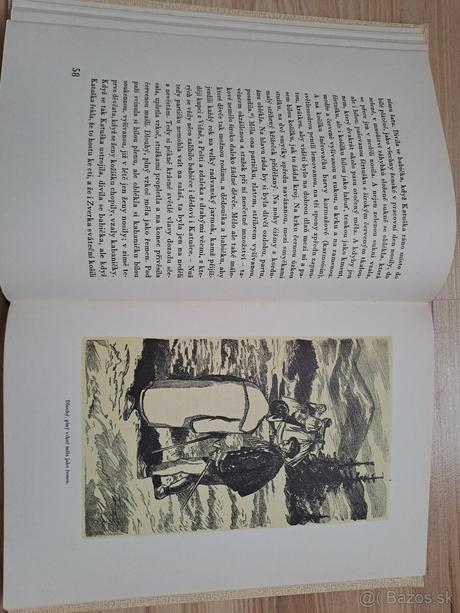 Pán učiteľ - božena nemcová, 