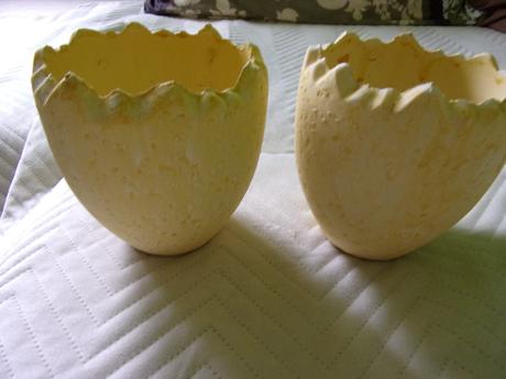 Vetináč vajíčkova škrupina, 