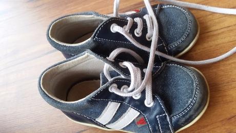 Rak prve topanocky, rak,19