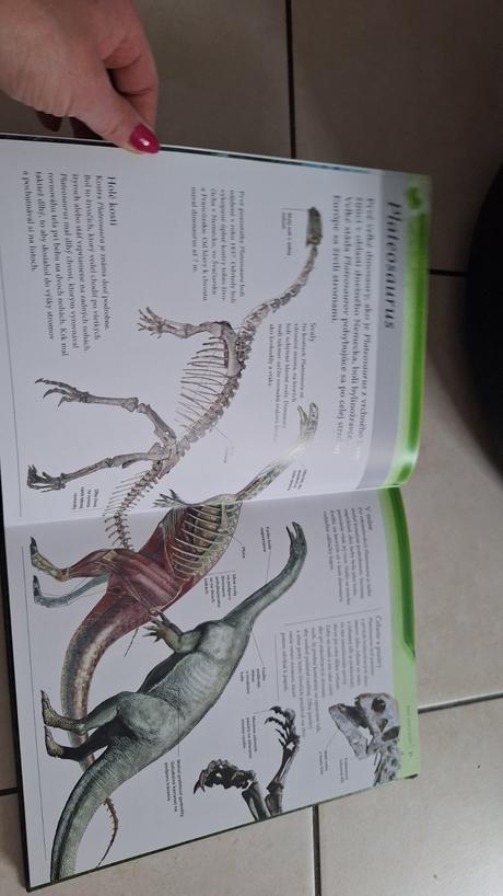 Dinosaury enciklopedia,