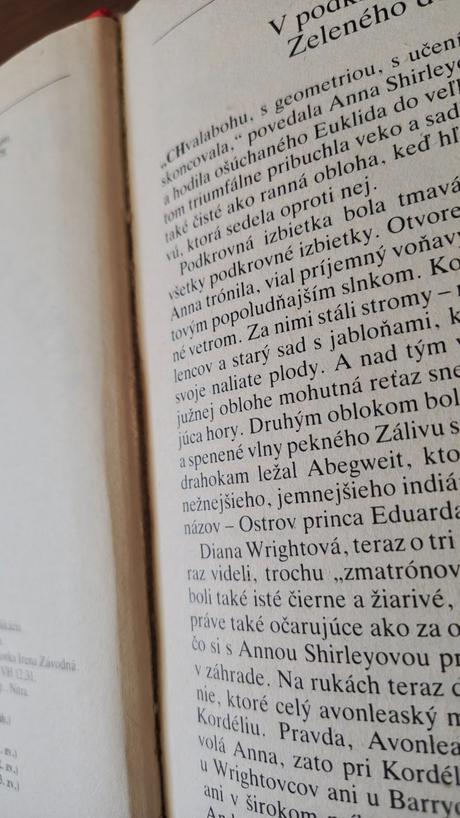 Kniha annin vysnívaný domov,
