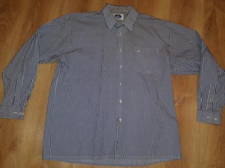 Pruzkovana kosela , 43