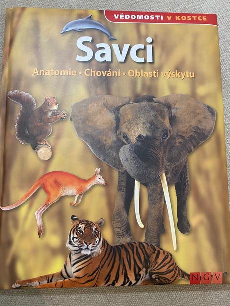 Savci vědomosti v kostce anatomie chování oblasti, 